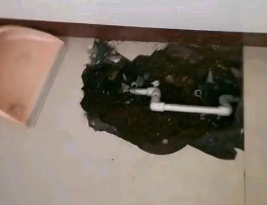 扶绥卫生间测漏水多少钱