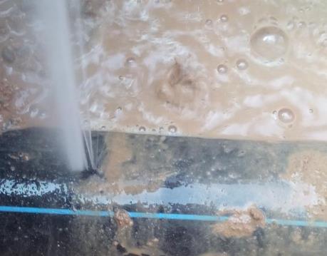 扶绥卫生间防水哪家好